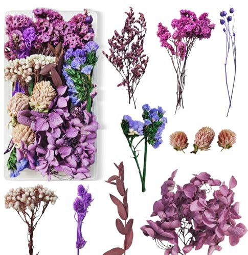 Trockenblumen Lila Trockenblumen zum Basteln Trockenblumen Klein Getrocknete Blumen Deko Trockenblumen Basteln für DIY Basteln Handwerk Epoxidharz Scrapbooking Dekoration Trockenblumen Deko 9 Arten