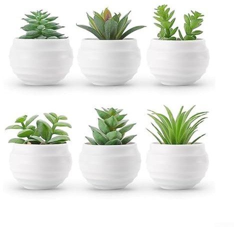 TONIXY Set di 6 piante grasse artificiali in vasi decorativi, mini piante finte realistiche per casa, ufficio, scrivania, bagno, cucina, decorazione