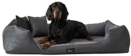 exclusive BED Orthopädisches Hundebett Eden Grosse Mittelgroße Kleine Hunde - Hundekissen Hundematte aus Öko-Leder + Alcantara-Stoff - Schmerzlindernd Abriebfest Reißfest (XXL, Grau)