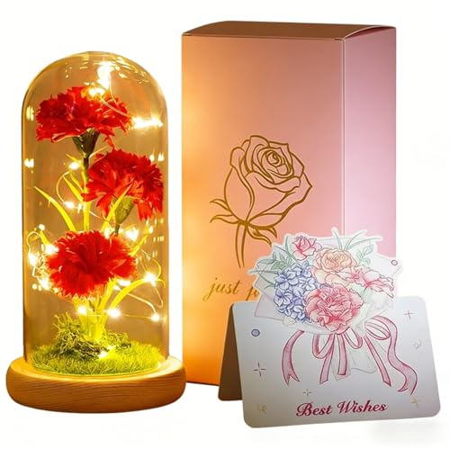 Dream Loom Künstliche Nelke in durchsichtiger Kuppel für Mama, Geburtstagsgeschenk, ewige Nelke mit LED-Licht für die Tischdekoration zu Hause, Einzugsgeschenk für Frauen