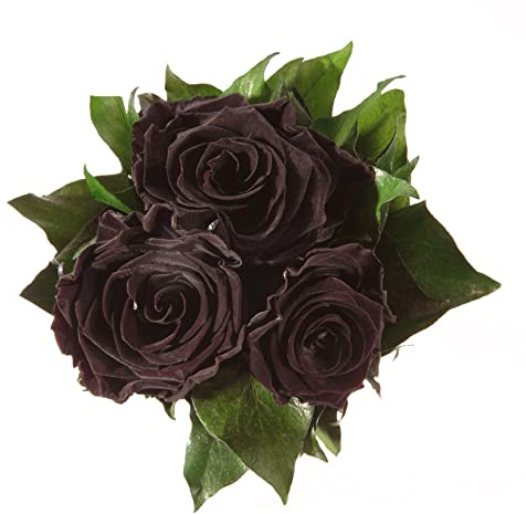 Infinity Blumenstrauß konservierte Rosen, Schwarz, 3 Rosen | echte konservierte Rosen, lange haltbar bis zu 3 Jahre