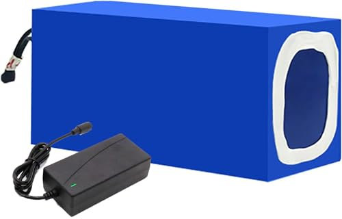 Blivysse E-Bike-Akku 48 V 8 Ah 10 Ah 13 Ah 15 Ah 18 Ah 20 Ah Elektrofahrrad-Akku 48 V Li-Ionen-Akku mit Ladegerät für 200 W 300 W 400 W 500 W 800 W 1000 W Elektrofahrrad-Akkumotor