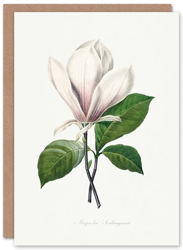 Artery8 Pierre-Joseph Redouté Art Card Saucer Magnolia Flower