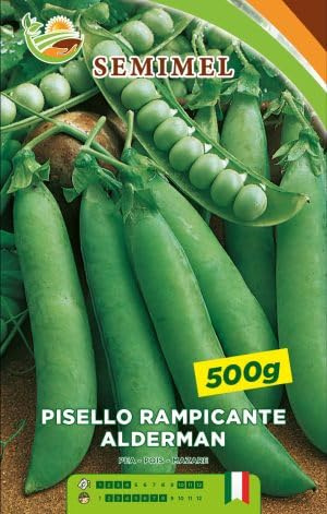 Pisello Rampicante Alderman - Pianta Alta 140-150 cm, a grano rugoso, 500 gr 1 confezione