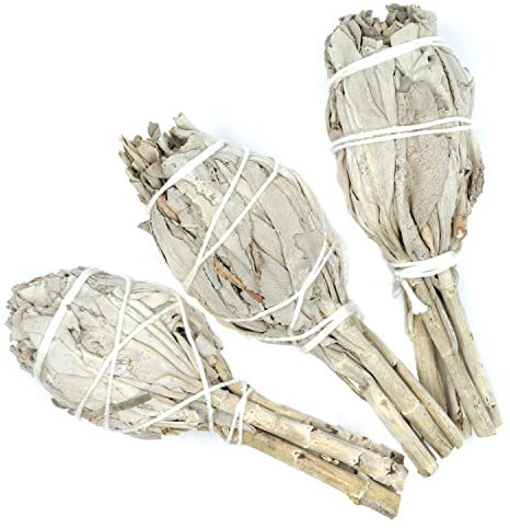 Farbenwald Lot de 3 fagots de Sauge Blanche à brûler, Environ 11 cm de Long, bâtonnets, provenant de Salvia Apiana de Californie, encens