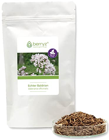 Baldrian hochdosiert als Baldrianwurzel | sehr angenehm runder warm-holziger Geschmack | Baldriantee | 100g | Valeriana officinalis L.
