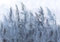 decomonkey Fototapete Natur 350x256 cm Design Tapete Fototapeten Vlies Tapeten Vliestapete Wandtapete moderne Wand Schlafzimmer Wohnzimmer Herbst