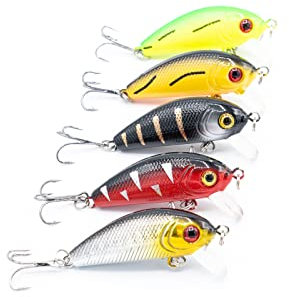 Mister Tackle Lilly Angelköder Angelköderset Wobbler Set 5 cm Forelle Barsch 5 Stück