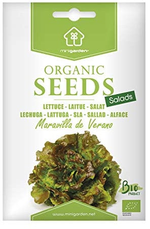 Zertifizierte Bio-Bataviasalat-Samen 'Maravilla de Verano' von Minigarden – 100% natürlich, GVO-frei, bereit zur Aussaat – 1500-2100 Samen, reproduzierbar