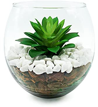 Terrario Plantas - Centro de Mesa Decorativo Salón - Terrario Cristal - Plantas Artificiales Decorativas Pequeñas - Decorar Mesas de Comedor - Planta Mesa Artificial - Incluye Piedra, Madera y Plantas