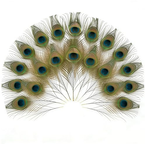 LIANRISES 20 Stück 25-30cm Natürliche Pfauenfedern lang, Schöne Augen Federn Deko, für DIY Bastelarbeiten Kleidung und Hüte, Vasen, Karneval, Maskenbälle, Hochzeiten, Weihnachten Partydekoration
