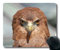 (genaue - Kante - Mousepad) Adler Raptor Gaming - Maus aus der vogelperspektive Falcon Federn Schnabel Mac - Oder der Computer Mouse Pad.