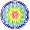 Samunshi® Wandtattoo Blume des Lebens Regenbogen Lebensblume - Wanddekoration Laptop Sticker - Esoterik Wellness Meditation Regenbogen 20 x 20cm