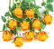 Flojery Lot de 10 Roses artificielles à Longue Tige en Soie pour Bouquet de Mariage, Centre de Table, décoration d'intérieur (Orange)