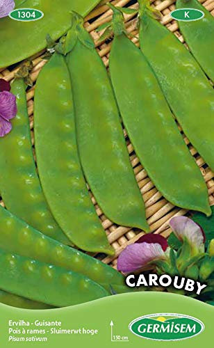 Germisem Carouby Semi di Pisello Zucchero 100 g