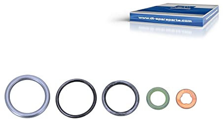DT Spare Parts Dichtsatz Einspritzdüse 4.92520 Dichtungssatz für LKW, Bus