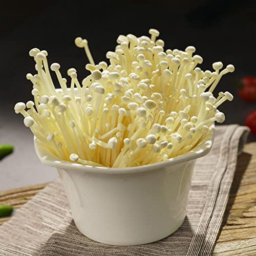 150 Stück enoki pilze züchten samen enoki mushroom fungi pilz - Seltene Pflanzen serie - saatgut alte sorten pflanzensamen exotische pflanzen wintergemüse steingartenpflanzen winterhart