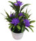 Saterkali Kleine künstliche Sukkulenten Pflanzen künstliche Topfpflanze Dekor künstliche gefälschte Lotusblume Topfpflanze Bonsai Hochzeit Party Garten Home Decor lila