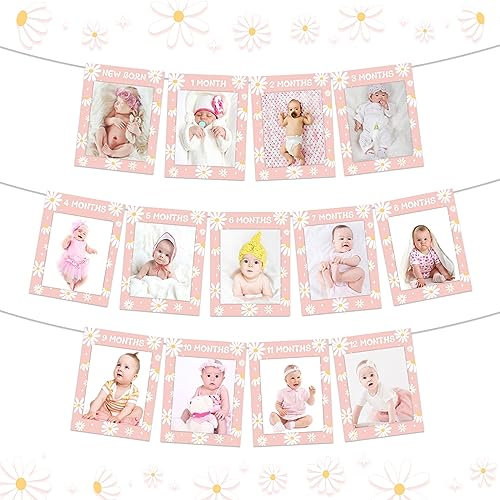 Daisy 1st Birthday Photo Banner for Girls Pink Groovy 1-12 Monthly Photo Banner, Daisy Boho Hippie Baby Girl First Bday Party Supplies