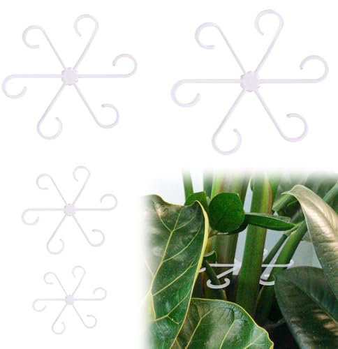 4pcs Support Tige Plantes Interieur, Supports de Tige de Plante Grimpante en Plastique Crochet de Tige de Plante Réutilisable Anneau Tige Support Plantes pour Plante (Transparent)