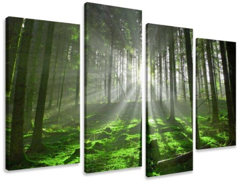 Visario 130 x 80 cm Bild auf Leinwand Wald 6130-SCT deutsche Marke und Lager - Die Bilder/das Wandbild/der Kunstdruck ist fertig gerahmt