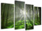 Visario 130 x 80 cm Bild auf Leinwand Wald 6130-SCT deutsche Marke und Lager - Die Bilder/das Wandbild/der Kunstdruck ist fertig gerahmt