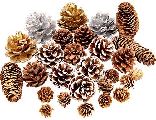 Whaline Tannenzapfen, 27 Stück, natürliche Tannenzapfen, Silber, Gold, Schnee, Zapfen, Fichte, Tannenzapfen zum Basteln, Geschenk, Weihnachtsbaumschmuck, Urlaub, Zuhause, 6 Stile, verschiedene Größen