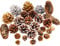 Whaline Tannenzapfen, 27 Stück, natürliche Tannenzapfen, Silber, Gold, Schnee, Zapfen, Fichte, Tannenzapfen zum Basteln, Geschenk, Weihnachtsbaumschmuck, Urlaub, Zuhause, 6 Stile, verschiedene Größen