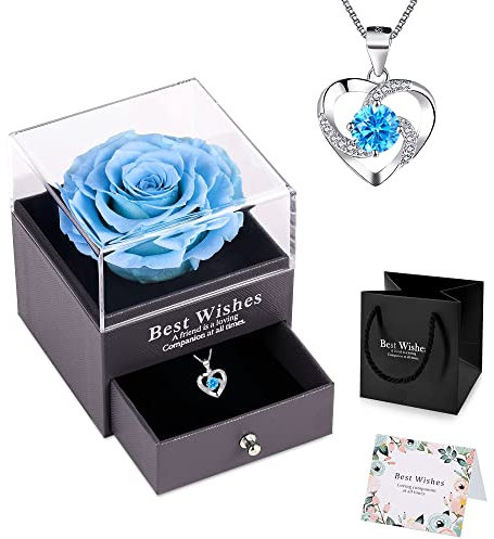 NEWUPZSI Rosa Eterna blu con Collana regali san valentino regalo per lui lei mamma nonna amica coppia Fiori Stabilizzati Rosa Conservato Mai Appassito Regali Natale Originali 2022 per lei