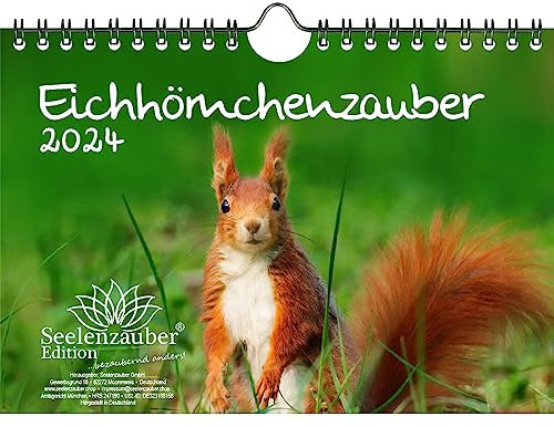 Eichhörnchenzauber DIN A5 Wandkalender für 2024 Eichhörnchen - Geschenkset Inhalt: 1x Kalender, 1x Weihnachts- und 1x Grußkarte (insgesamt 3 Teile)