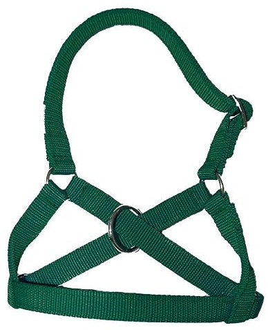 Brama West Alpaka Halfter in Allen Alpaka - Lama Größen, verstellbar, grün, Gr. 50