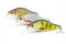 Mister Tackle WB-1 Angelköder Wobbler Hecht Zander Barsch - 3 Kunstköder inklusive Box
