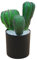 LearnLyrics Lampada da tavolo carina, luci di cactus per camera da letto, lampada da comodino a LED, lampada Cactus, lanterne a forma di cactus, luci decorative per camera da letto