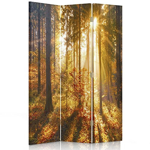 Feeby Paravent Wald Baum Natur 110x180 cm 3 Teilig Modern Design einseitig Raumteiler Wandschirme Foto Trennwand Raumtrenner Sichtschutz Spanische Wand auf Leinwand Bedruckt Sonne Braun