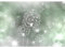 Runa Art Papier peint intissé Mural pissenlits Résumé Moderne Toison Salon Chambre à Coucherr Salle - Tableaux Muraux Tapisserie Photo - vert 9174010c