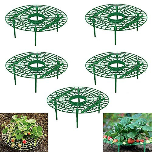 KUANDARMX Sehr gut 5 Stück Packung Strawberry Plant Support Squash Cradle Plant Unterstützt den Schutz, Einstellbare Stützen für Erdbeeren Salat und Tomaten, Schneckenschutz und Schutz Anwesend