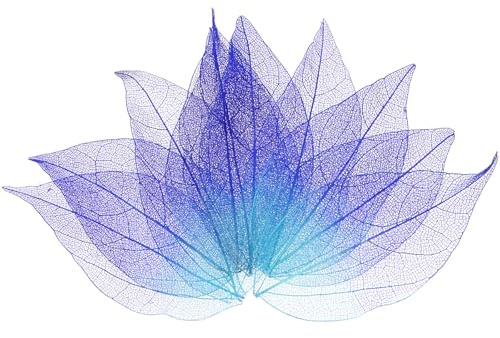 M METERXITY 200-Pack Skeleton Leaves 4-6cm Natural Rubber Tree | Purple, Blue, Pressed Rubber Tree Vein Leaf, for Resin, Handmade Card, Party Floral Embellishment