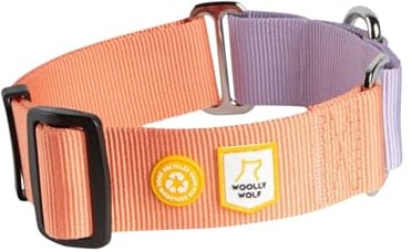 Woolly Wolf Color Block Halsband für große Hunde Gr. L Lachsrosa - Trainingshalsband mit maximaler Passform, Sanfte Kontrolle ohne Würgeeffekt, Aus recyceltem Material