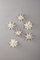Rayher 67274616 Set Set Mini-Zaubersterne XXS, gold, Material für 6 glitzernde kleine Papiersterne 12 cm ø, mit Tüten und Faltblättern Sterne falten, Sterne basteln, Weihnachtssterne