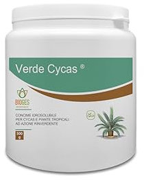 Bioges Verde Cycas 0,5 kg concime per Cycas ad Azione rinverdente
