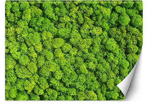 Feeby Vlies Fototapete Nachahmung Natur 300x210 cm Grün Wanddeko Inklusive Kleister Hotel Spa Büro Wohnzimmer Schlafzimmer Flur Moos Pflanze Textur