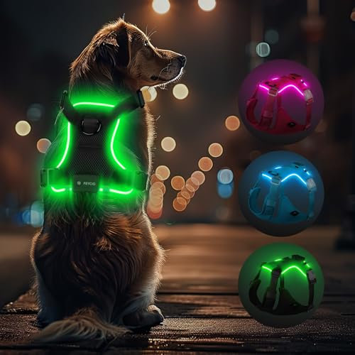 Light Up Dog Hundegeschirr Leuchtend LED Aufladbar - Leuchtgeschirr Leuchtend für Klein Mittelgroße Grosse Hund, Reflektierende Brustgeschirr Beleuchtetes Hundegeschirr, 4-Punkt Verstellbar,Schwarz,L