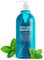 CP-1 Cool Mint Shampoo Head Spa Dry Hair 500 ml Relief Eisiges Menthol Frische Pfefferminze Ölkontrolle Porenreinigung Beruhigende Kopfhaut Sulfatfrei Silikonfrei Parabenfrei
