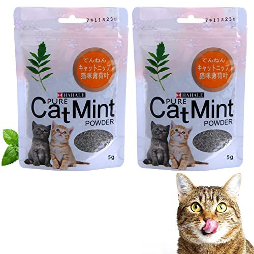 Herbe à Chat,Herbe aux Chats,Herbe à Chat Séchée,Herbe à Chat Fraîche,Herbe pour Chat,Herbe a Chat,Herbes a Chat,Herbe a Chat Seche,Jouet Chat Herbe à Chat,Herbe a Chat Jouet,Herbe a Chat Bio,2 PCS