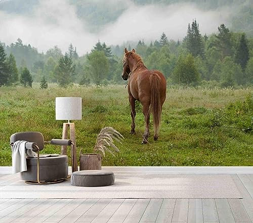 Fototapete 3D-Tapete „Pferd neblige Wiese“, 352 x 250 cm Wandaufkleber Kinderzimmer Wandsticker Wohnzimmer Sticker Hintergrund Wandbilder