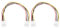 Be In Your Mind 2X Cable de Alimentación de 20 Cm para Unidad de Disquete Adaptador de Cable de Alimentación de 4 Pines A 4 Pines para Placa Base de Unidad de Disquete de 3,5 Pulgadas