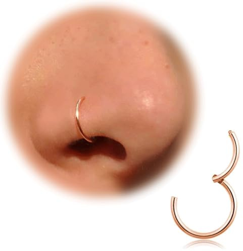 Nasenring Gold Silber dünn Nasenpiercing Ring Titan für Damen Herren 20G 18G 16G Septum Tragus Conch Ohrringe Lippenpiercing Nasen Piercing Ringe Schmuck 6mm/7mm/8mm/9mm/10mm