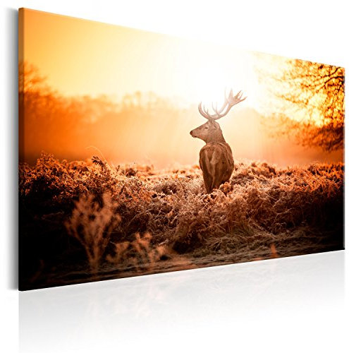 murando - Wandbilder XXL Hirsch 120x80 cm 1 tlg - Wand Deko Vlies Leinwand Bilder Groß Wanddeko Wohnzimmer Schlafzimmer Kunstdrucke - Natur Tier Landschaft g-B-0046-b-b