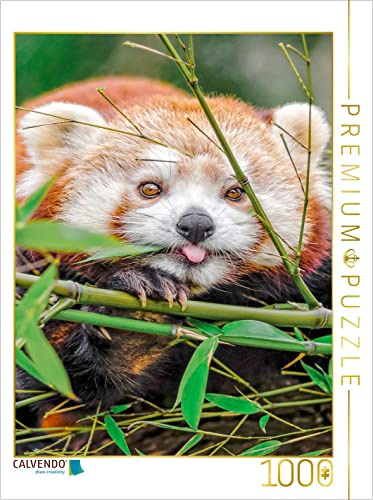 CALVENDO Puzzle Roter Panda | 1000 Teile Lege-Größe 48 x 64 cm Foto-Puzzle für glückliche Stunden