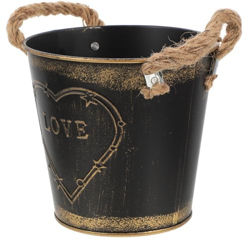 Didiseaon 2 Pièces Pot De Fleur Planteur De Seau De Fer Bidon De Lait Galvanisé Seau Français De Ferme Succulent Cruche Vintage Décor Rétro Le Fer en Forme De Coeur Panier De Plantes